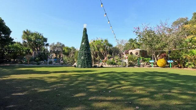 Footage of a gorgeous landscape at Pinecrest Gardens in Pinecrest  Florida USA