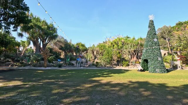 Footage of a gorgeous landscape at Pinecrest Gardens in Pinecrest  Florida USA