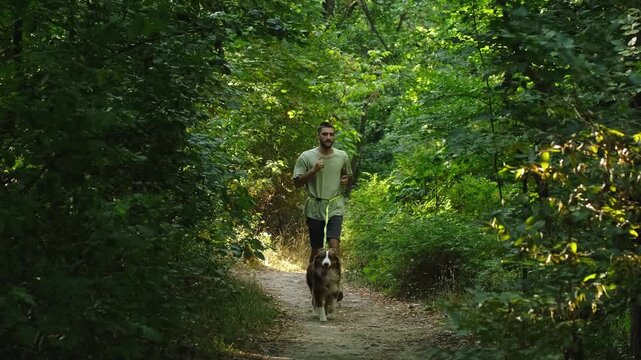 A man runs along a narrow forest path with his Australian Shepherd dog pulling ahead on a canicross belt. The concept highlights teamwork, speed, and energetic outdoor movement with pet