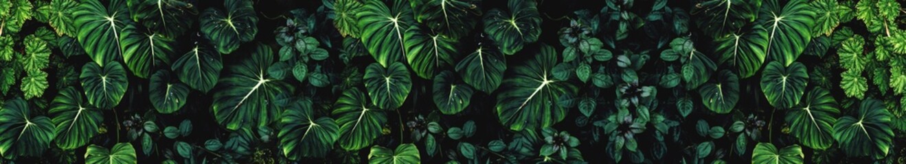 Dark green tropical leaves texture covering the entire surface creating a lush natural foliage wall...