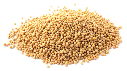 Heap of mustard seeds isolated on white
