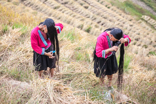 Two Yao ethnic minority woman with long hair at a rice terrace, Guilin, China