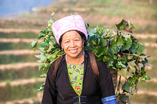 Senior chinese Zhuang minority worker smiling and carrying a basket, Guangxi, China
