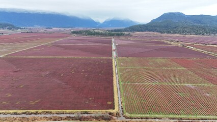 British Columbia Fields