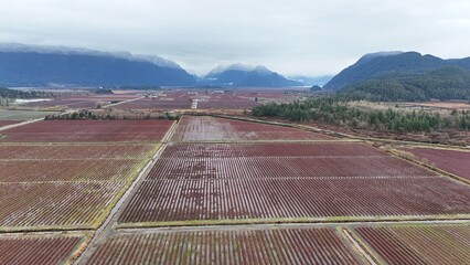 British Columbia Fields