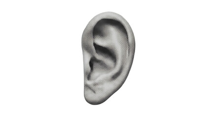 Detailed anatomical illustration of a human ear, showcasing the complex structure essential for hearing and balance