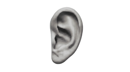 Detailed anatomical illustration of a human ear, showcasing the complex structure essential for hearing and balance