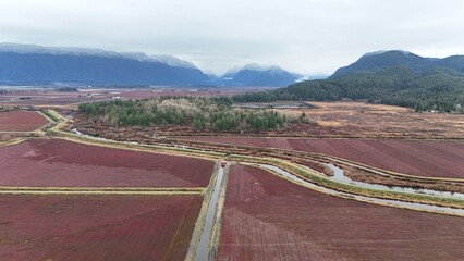 British Columbia Fields