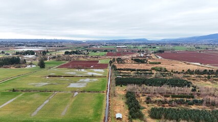 British Columbia Fields