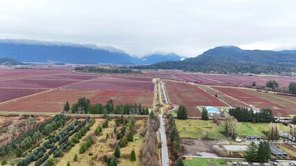 British Columbia Fields