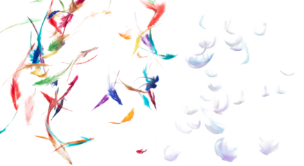 Many color Feather fly fall beautiful spiral pattern in air over black background isolated. Puffy Fluffy soft feathers like dream floating dove in sky. Colorful feathers are so light and delicate