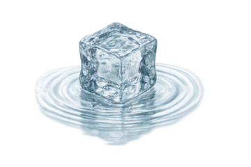 A clear ice cube resting on water with concentric ripples, reflection and melting details