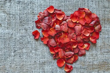 Romantic Heart Shape of Floral Rose Petals on Organic Textile Background for Valentine s Day