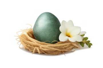 Green easter egg in nest with white flower