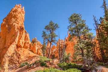 A rocky canyon with trees and a blue sky. The trees are sparse and the rocks are jagged. The scene is peaceful and serene