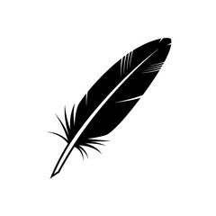 Obraz premium Flat black and white icon of a feather fallen from nowhere