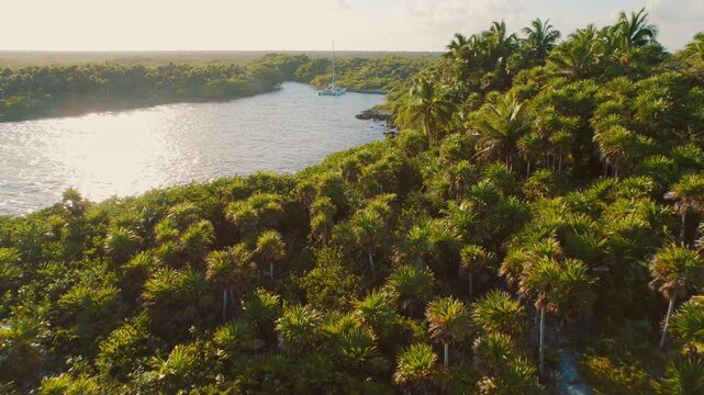 Sailboat anchored in calm tropical bay surrounded by lush jungle at sunset