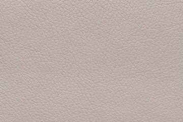 High-quality close-up of a light beige or taupe grained leather texture showing a detailed pebble...