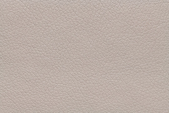 High-quality close-up of a light beige or taupe grained leather texture showing a detailed pebble pattern perfect for upholstery or fashion design background