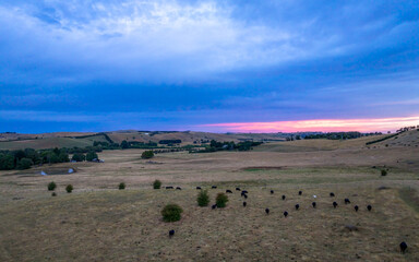 Aerial Sunset views over rural farmland with storm clouds and cows