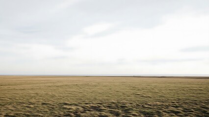 Vast, flat, grassy field stretching towards a hazy horizon under an overcast sky, evoking a sense of open space and natural tranquility