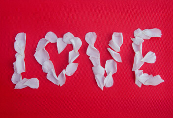 The word love made from white petals of fallen rose petals