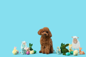 Cute Toy Poodle dog with Easter eggs, chicks and toy rabbits on blue background © Pixel-Shot