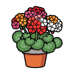 Colorful Begonia Flowers in Pot.