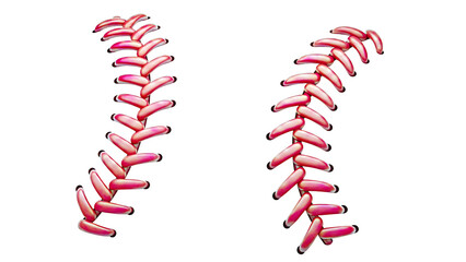 Close-up of red baseball stitching on white background