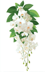 Fototapeta premium Elegant white orchids cascade gracefully from lush green leaves, creating stunning visual perfect for weddings or floral designs. This vector illustration captures beauty and delicacy of nature