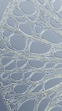 Profile view of retinal wall forming continuous layered structure with visible vessel channels and curved anatomical contour
