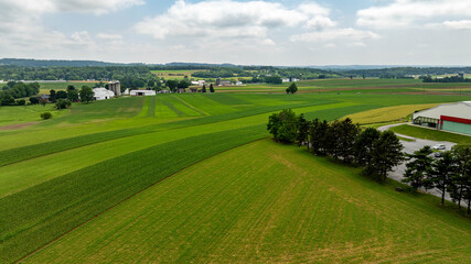 Green fields spreading across the landscape with farm buildings in the distance. Trees line the...