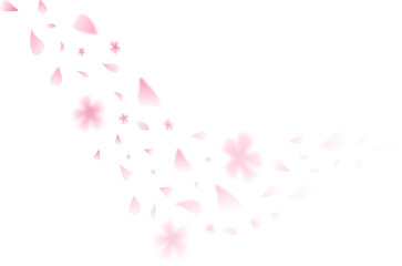 Pink cherry blossom petals falling