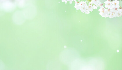 淡いグリーンの背景に咲く桜の花と舞い散る花びら