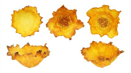 Set of colorful watercolor autumn leaves isolated on white background featuring artistic paint splashes and fall leaf design elements for a creative grunge texture illustration pattern