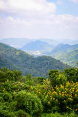 view from the mountain
