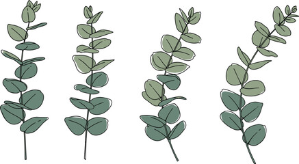 Hand drawn vector illustration of green eucalyptus branches with round leaves isolated on white background for minimalist botanical wedding invitation and elegant herbal design © Jharna