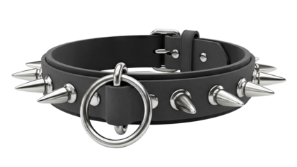 Black leather spiked collar with metal ring