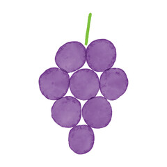 秋の果物のかわいい手描きイラスト。水彩と色鉛筆で描かれた一房のぶどう