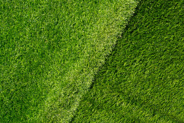 Top view of green grass background. Green turf