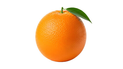 Isolated Orange on White Background