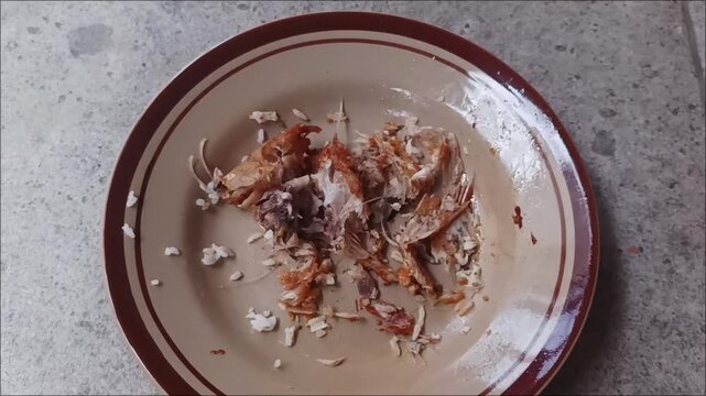 Footage of leftover fried fish bones and scattered grains of rice on a brown ceramic plate after a meal