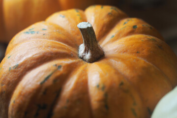 Pumpkin with deep grooves and a sturdy stem on a table