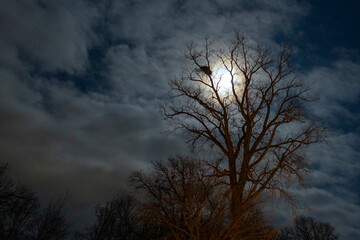 Fototapeta premium clouds in the sky at night with moon