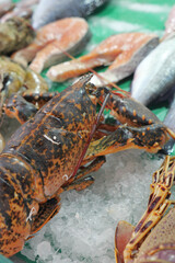Market sells seafood including lobster and fish