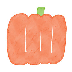 野菜のかわいい手描きイラスト。水彩と色鉛筆で描かれた１つのかぼちゃ