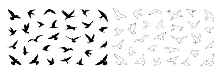 silhouettes of birds flying on a png background