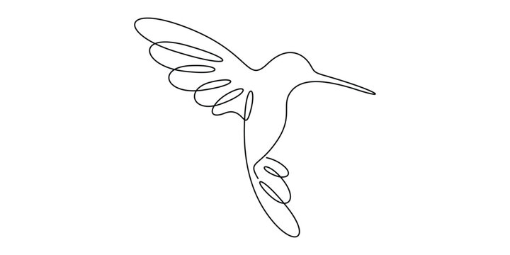 Minimalist, single continuous line drawing of a hummingbird in flight. vector illustration