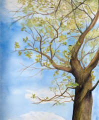 Fototapeta premium Watercolor painting of a large tree with branches reaching towards a blue sky with clouds nature