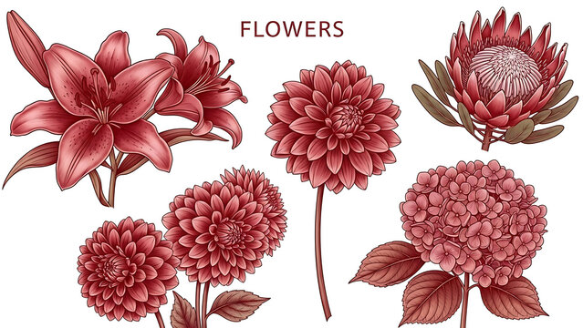 Red floral illustration of lilies dahlias protea and hydrangea